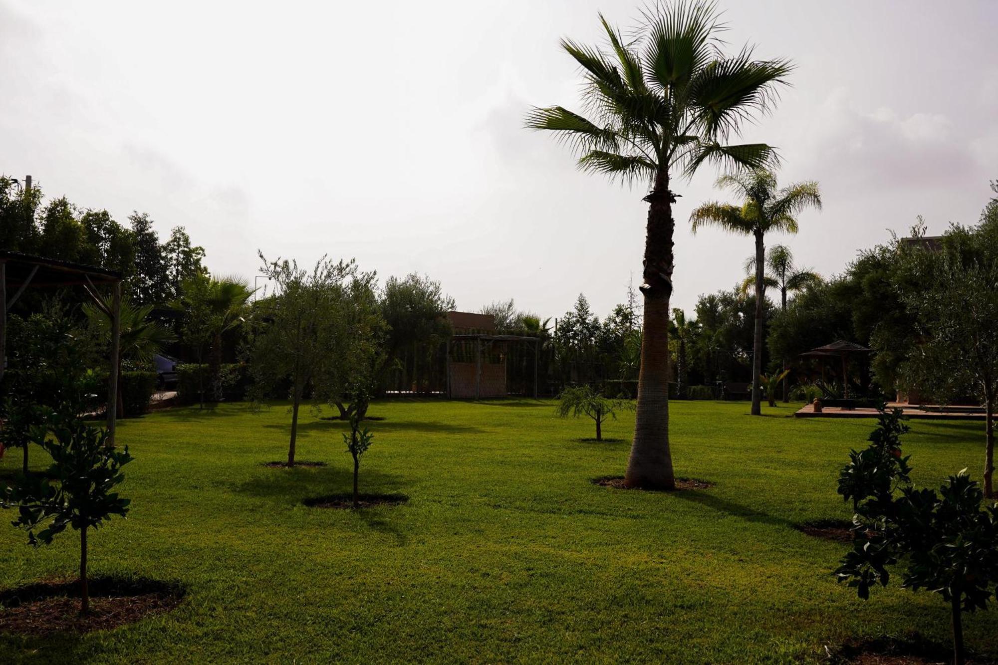 Hotel Dar Fatima Tamazouzt Tamazouzte  Esterno foto